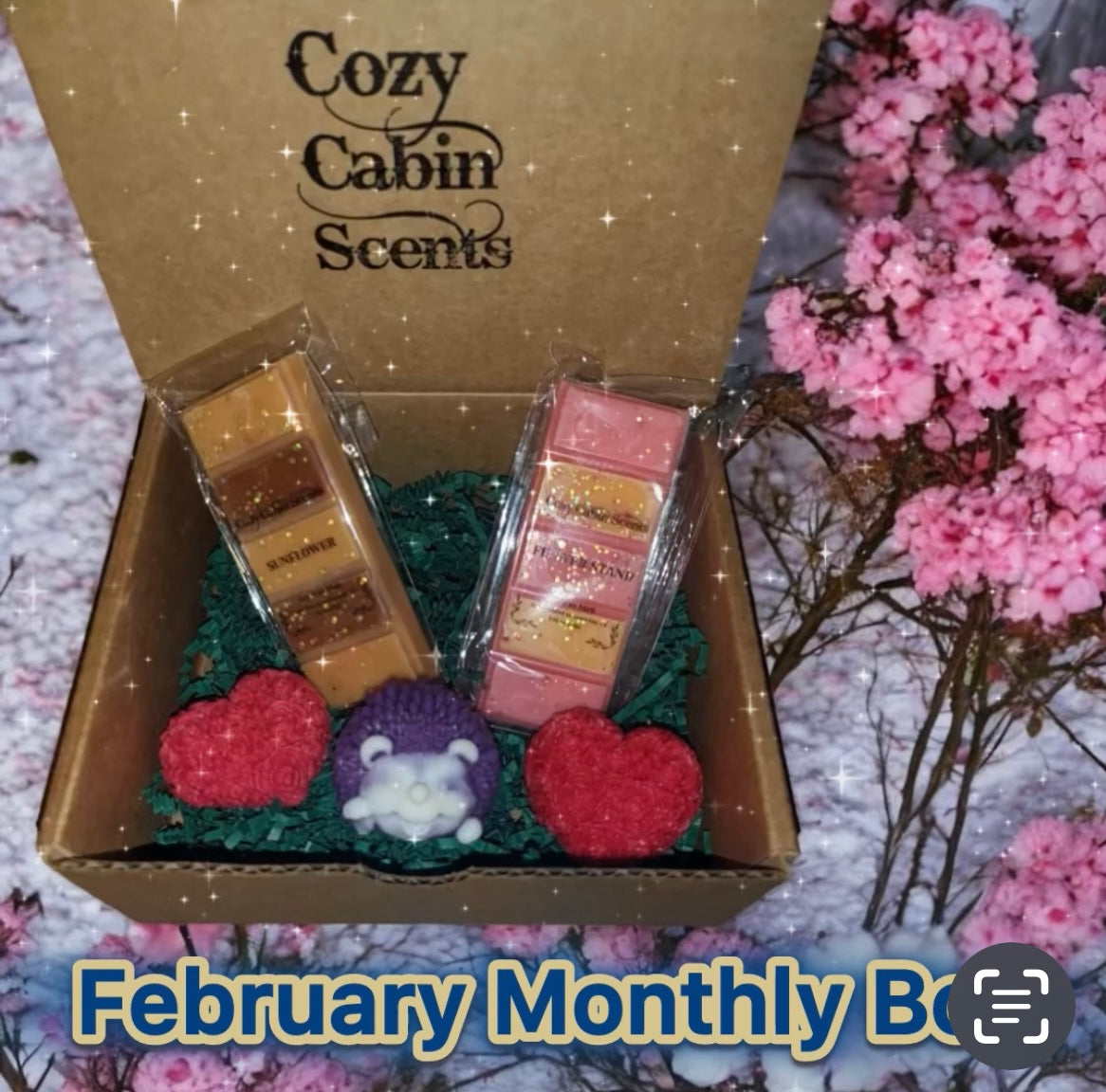 Cozy Cabin Monthly Box